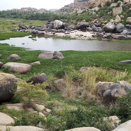 Riverside Homestay Хампи Екстериор снимка